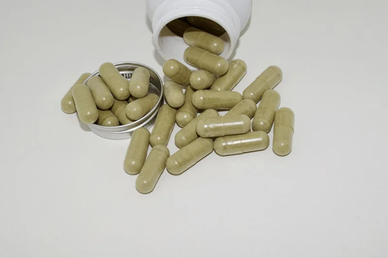 EXPLORING THE WORLD OF MUSHROOM CAPSULES: WHAT YOU NEED TO KNOW